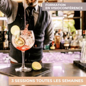 Formation Permis d'exploitation en visioconférence