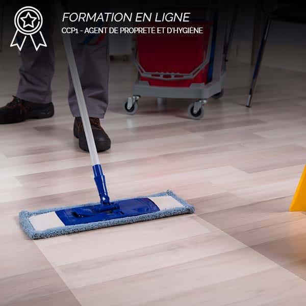 Formation En Ligne Agent De Proprete Et D Hygiene Aph